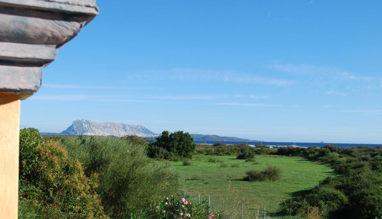 Oasi E Oasi Blu Appartement San Teodoro (Sardinia)